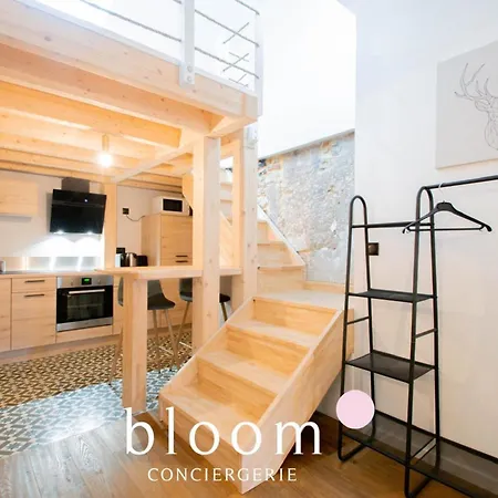 Le Loft Perche De La Vieille Nancy