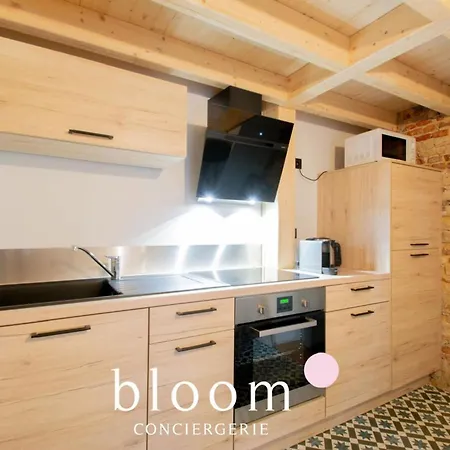 Le Loft Perche De La Vieille * Nancy