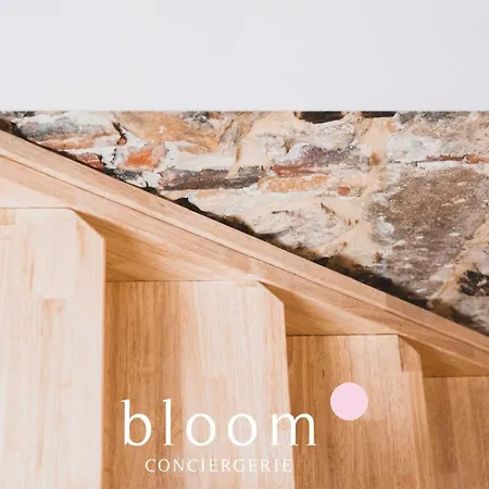 Le Loft Perche De La Vieille Apartmán Nancy