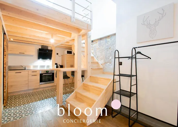 Le Loft Perche De La Vieille Nancy