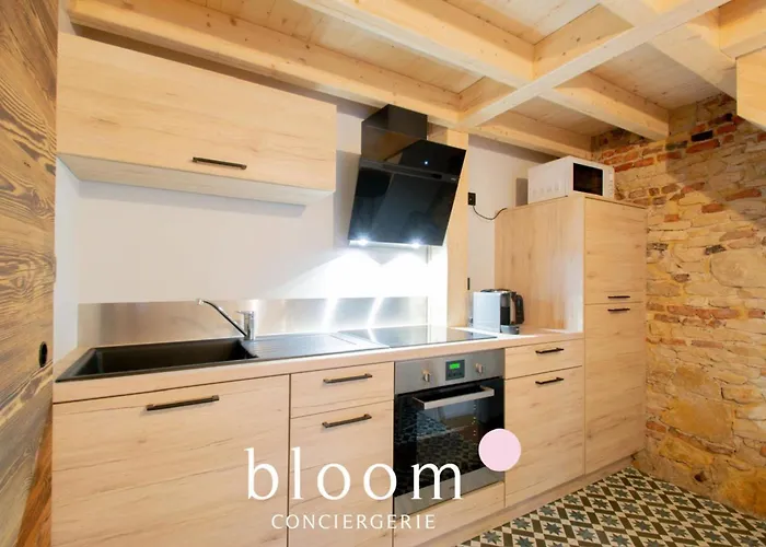 Le Loft Perche De La Vieille * Nancy