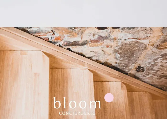 Le Loft Perche De La Vieille Apartmán Nancy